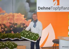 Stefan Oberschelp van DehneTopfpflanzen met hun argyranthemum frutescens white.